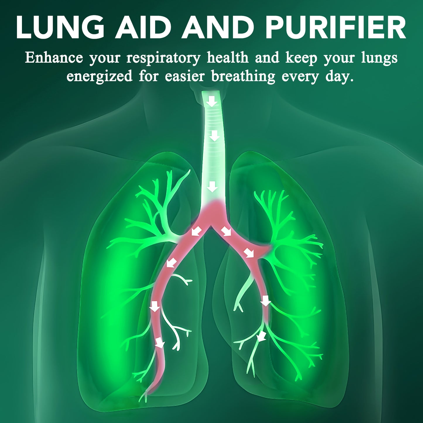 Extract de lumânărică • Picături lichide