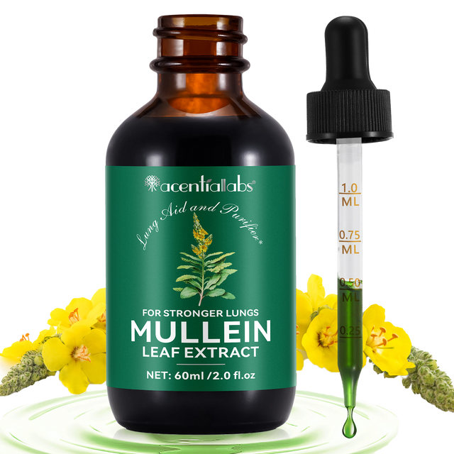 Mullein Extract • Liquid Drops