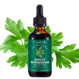 Sweet Wormwood Extract • Liquid Drops